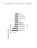 CHARACTERIZATION AND ANALYSIS OF THE COMPOSITION AND DYNAMICS OF THE     MAMMALIAN RIBOPROTEOME diagram and image