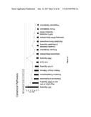 CHARACTERIZATION AND ANALYSIS OF THE COMPOSITION AND DYNAMICS OF THE     MAMMALIAN RIBOPROTEOME diagram and image