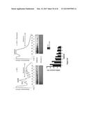 CHARACTERIZATION AND ANALYSIS OF THE COMPOSITION AND DYNAMICS OF THE     MAMMALIAN RIBOPROTEOME diagram and image