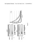 CHARACTERIZATION AND ANALYSIS OF THE COMPOSITION AND DYNAMICS OF THE     MAMMALIAN RIBOPROTEOME diagram and image