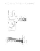 CHARACTERIZATION AND ANALYSIS OF THE COMPOSITION AND DYNAMICS OF THE     MAMMALIAN RIBOPROTEOME diagram and image