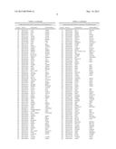 CHARACTERIZATION AND ANALYSIS OF THE COMPOSITION AND DYNAMICS OF THE     MAMMALIAN RIBOPROTEOME diagram and image