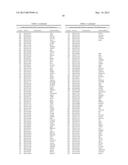 CHARACTERIZATION AND ANALYSIS OF THE COMPOSITION AND DYNAMICS OF THE     MAMMALIAN RIBOPROTEOME diagram and image