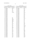 CHARACTERIZATION AND ANALYSIS OF THE COMPOSITION AND DYNAMICS OF THE     MAMMALIAN RIBOPROTEOME diagram and image