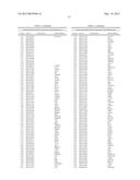 CHARACTERIZATION AND ANALYSIS OF THE COMPOSITION AND DYNAMICS OF THE     MAMMALIAN RIBOPROTEOME diagram and image