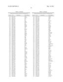 CHARACTERIZATION AND ANALYSIS OF THE COMPOSITION AND DYNAMICS OF THE     MAMMALIAN RIBOPROTEOME diagram and image