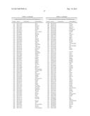 CHARACTERIZATION AND ANALYSIS OF THE COMPOSITION AND DYNAMICS OF THE     MAMMALIAN RIBOPROTEOME diagram and image