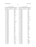 CHARACTERIZATION AND ANALYSIS OF THE COMPOSITION AND DYNAMICS OF THE     MAMMALIAN RIBOPROTEOME diagram and image