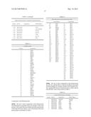 CHARACTERIZATION AND ANALYSIS OF THE COMPOSITION AND DYNAMICS OF THE     MAMMALIAN RIBOPROTEOME diagram and image