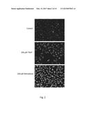 Modified Nucleic Acid Binding Cyanine Dyes for the Detection of Reactive     Oxygen Species diagram and image