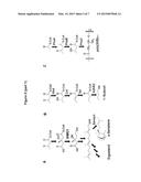 GENETICALLY ENGINEERED YEAST CELLS diagram and image