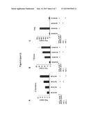 GENETICALLY ENGINEERED YEAST CELLS diagram and image