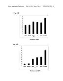 ENZYME STABILIZATION BY CARBON NANOTUBES diagram and image