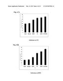 ENZYME STABILIZATION BY CARBON NANOTUBES diagram and image