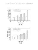 SERUM-FREE MAMMALIAN CELL CULTURE MEDIUM, AND USES THEREOF diagram and image