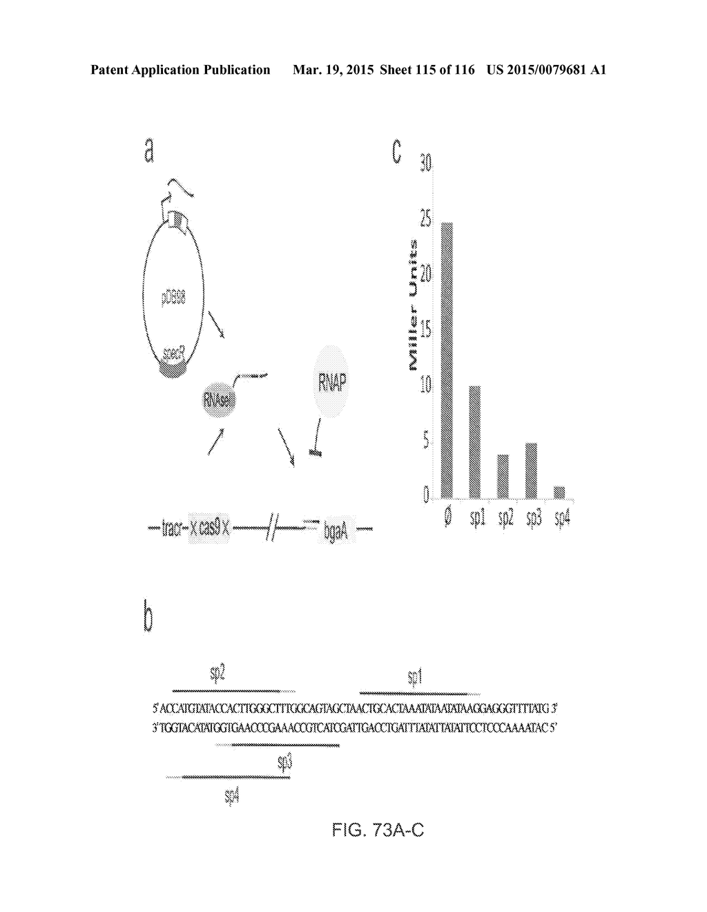 CRISPR-CAS COMPONENT SYSTEMS, METHODS AND COMPOSITIONS FOR SEQUENCE     MANIPULATION - diagram, schematic, and image 116
