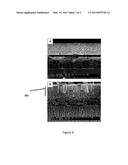 Inorganic Salt-Nanoparticle Ink for Thin Film Photovoltaic Devices and     Related Methods diagram and image