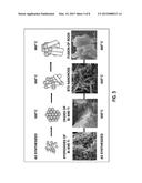 Synthesis of Pyrochlore Nanostructures and Uses Thereof diagram and image