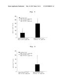 WT1 ANTIGEN PEPTIDE CONJUGATE VACCINE diagram and image