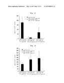 WT1 ANTIGEN PEPTIDE CONJUGATE VACCINE diagram and image