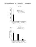 WT1 ANTIGEN PEPTIDE CONJUGATE VACCINE diagram and image