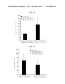 WT1 ANTIGEN PEPTIDE CONJUGATE VACCINE diagram and image