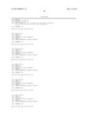 WT1 ANTIGEN PEPTIDE CONJUGATE VACCINE diagram and image