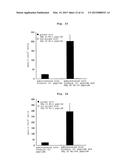 WT1 ANTIGEN PEPTIDE CONJUGATE VACCINE diagram and image