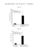 WT1 ANTIGEN PEPTIDE CONJUGATE VACCINE diagram and image