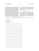 WT1 ANTIGEN PEPTIDE CONJUGATE VACCINE diagram and image