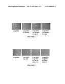 Compositions And Methods For Amelioration And Prevention Of Drug-Induced     Toxicity diagram and image