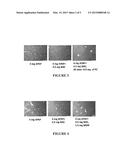 Compositions And Methods For Amelioration And Prevention Of Drug-Induced     Toxicity diagram and image