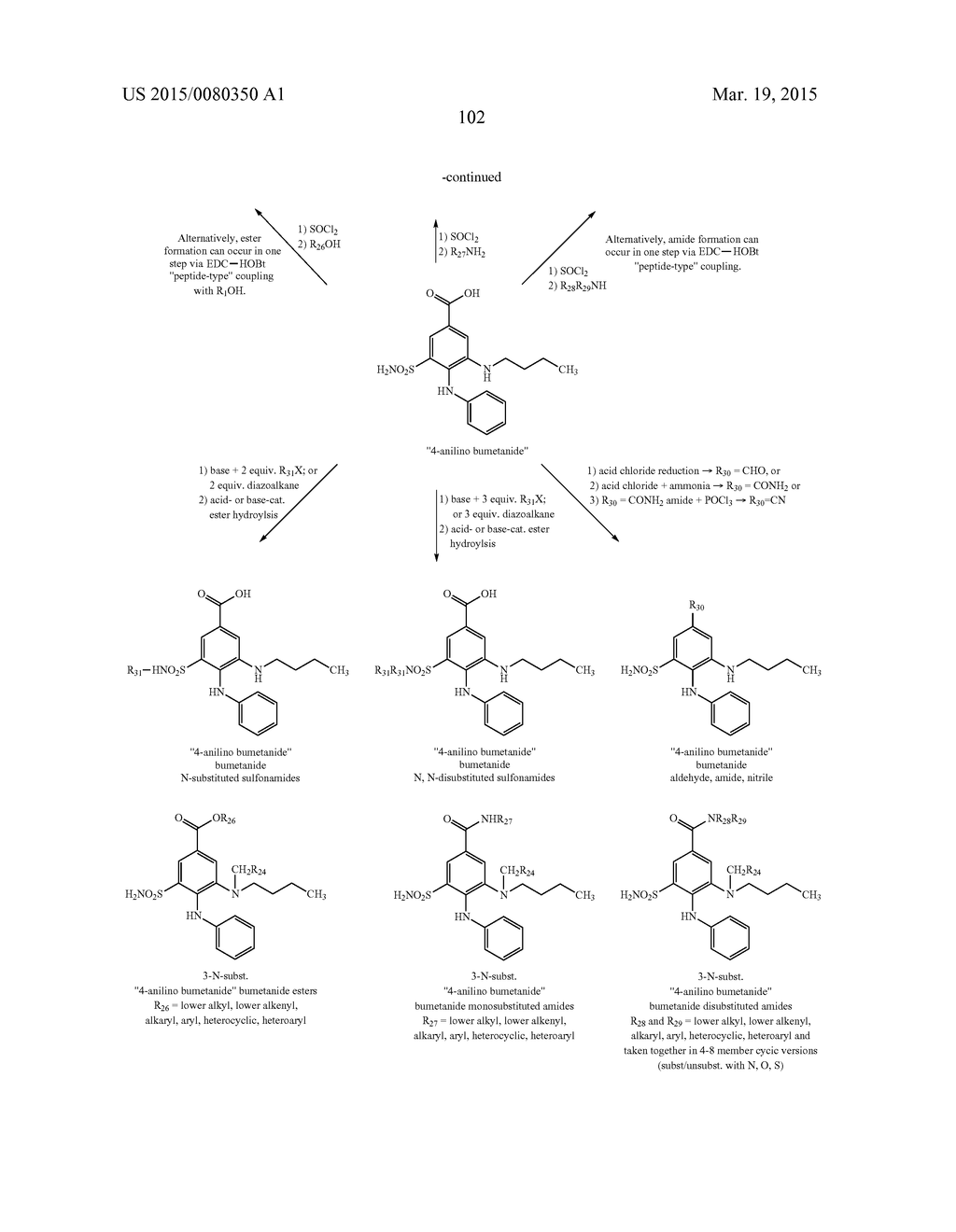 BUMETANIDE ANALOGS, COMPOSITIONS AND METHODS OF USE - diagram, schematic, and image 155