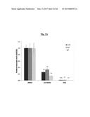 COMPOSITIONS USEFUL FOR TREATING HERPES SIMPLEX KERATITIS, AND METHODS     USING SAME diagram and image