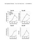 COMPOSITIONS USEFUL FOR TREATING HERPES SIMPLEX KERATITIS, AND METHODS     USING SAME diagram and image