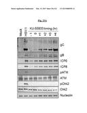 COMPOSITIONS USEFUL FOR TREATING HERPES SIMPLEX KERATITIS, AND METHODS     USING SAME diagram and image