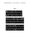 COMPOSITIONS USEFUL FOR TREATING HERPES SIMPLEX KERATITIS, AND METHODS     USING SAME diagram and image