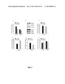 PHOSPHODIESTERASE INHIBITORS AND USES THEREOF diagram and image