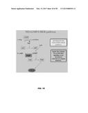 PHOSPHODIESTERASE INHIBITORS AND USES THEREOF diagram and image