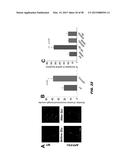 PHOSPHODIESTERASE INHIBITORS AND USES THEREOF diagram and image