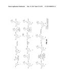 PHOSPHODIESTERASE INHIBITORS AND USES THEREOF diagram and image