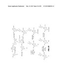 PHOSPHODIESTERASE INHIBITORS AND USES THEREOF diagram and image