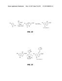 PHOSPHODIESTERASE INHIBITORS AND USES THEREOF diagram and image