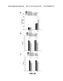 PHOSPHODIESTERASE INHIBITORS AND USES THEREOF diagram and image