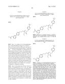 TRIAZOLONE COMPOUNDS AND USES THEREOF diagram and image