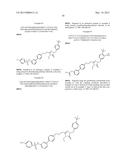 TRIAZOLONE COMPOUNDS AND USES THEREOF diagram and image