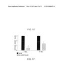 Compositions and Methods Related to Protein Displacement Therapy for     Myotonic Distrophy diagram and image