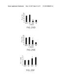 Compositions and Methods Related to Protein Displacement Therapy for     Myotonic Distrophy diagram and image