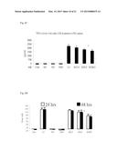 Memantine Protects Inflammation-Related Degeneration of Dopamine Neurons     Through Inhibition of Over-Activated Microglia and Release of     Neurotrophic Factors From Astroglia diagram and image