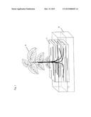 PLANT CULTIVATION MATERIAL AND PLANT CULTIVATION METHOD USING THE MATERIAL diagram and image